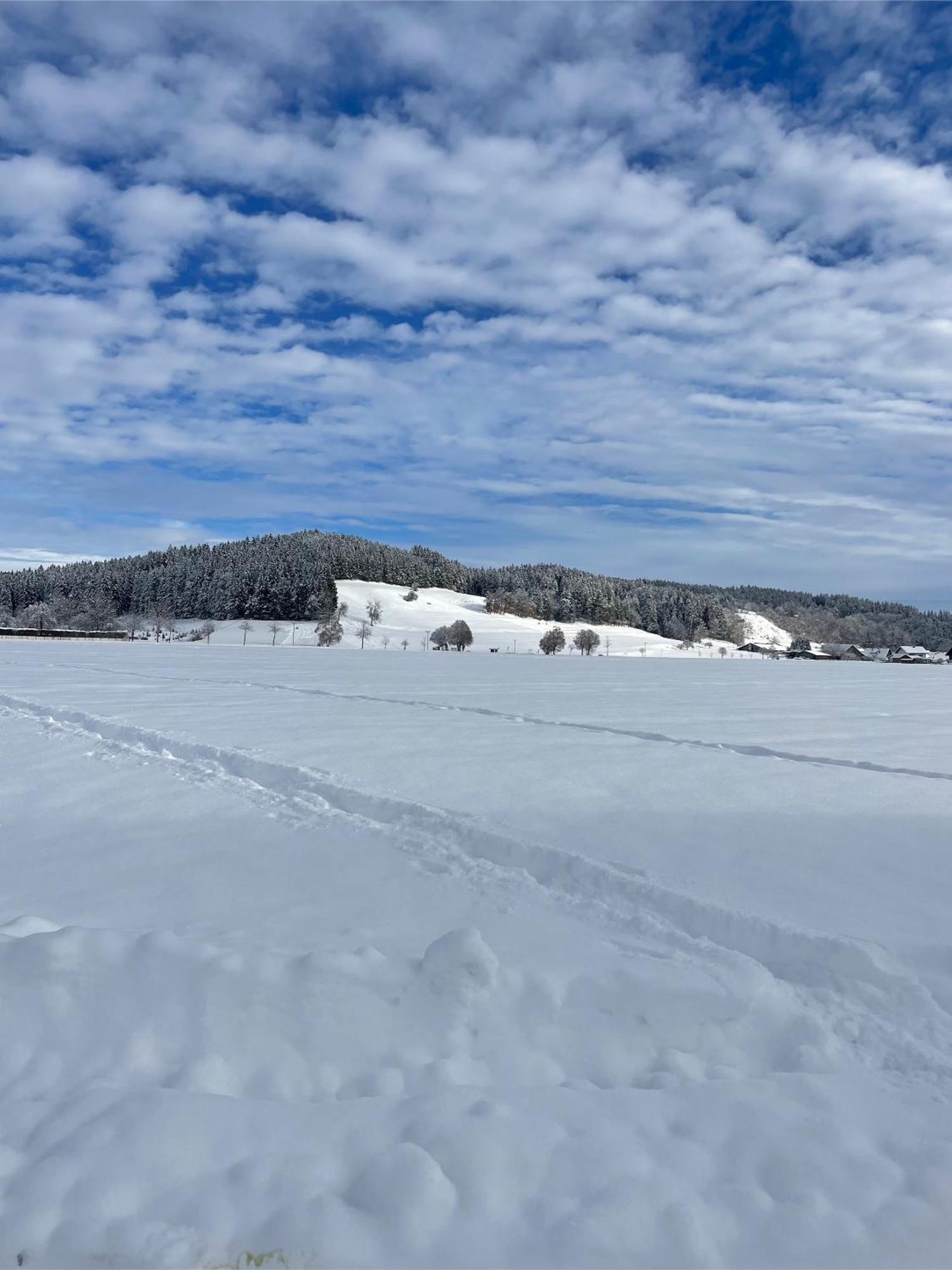 Salty Sol Leilighet Leutkirch im Allgäu Eksteriør bilde